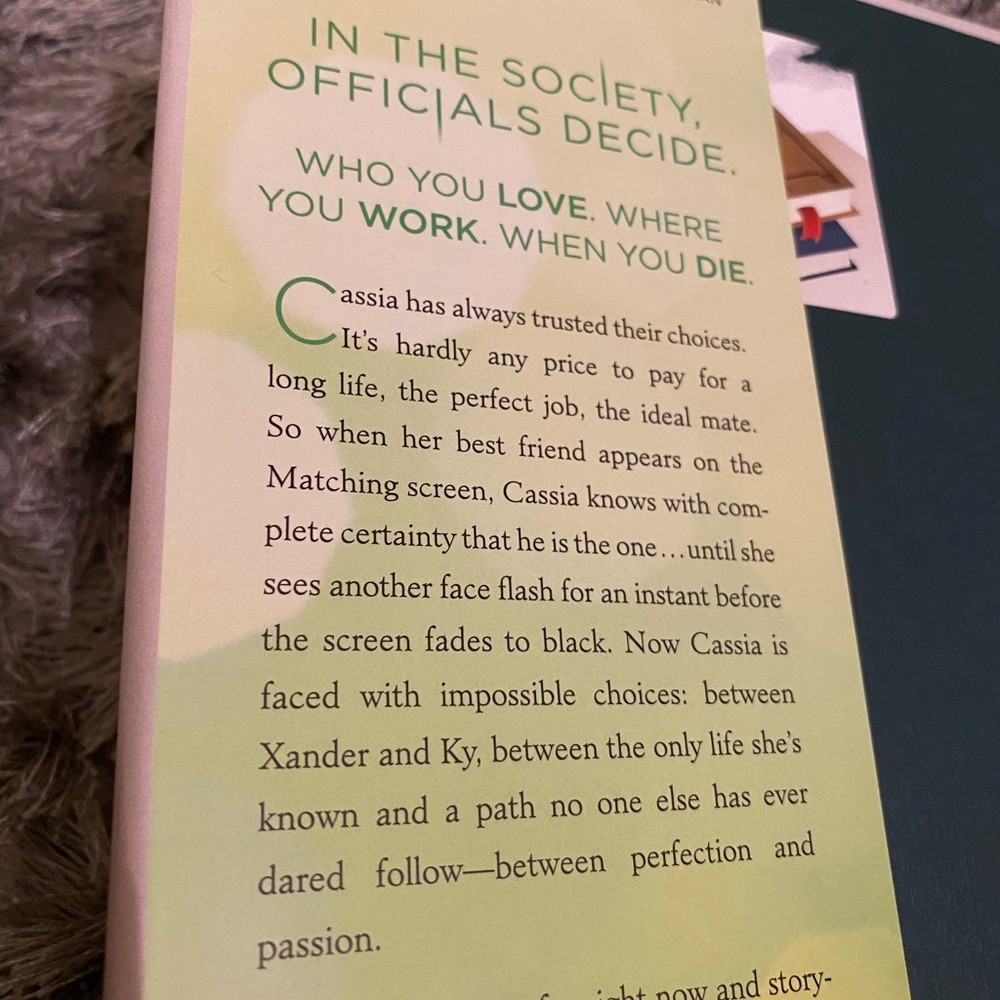 Matched series by Ally Condie - Picture 4 of 13